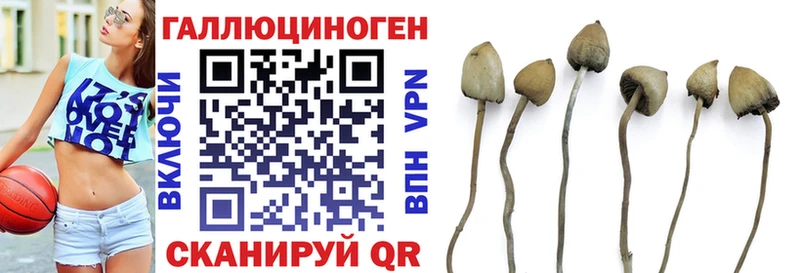 мега онион  Кораблино  Галлюциногенные грибы MAGIC MUSHROOMS 